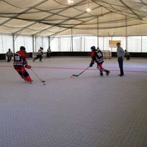 SportDeck pour inline hockey